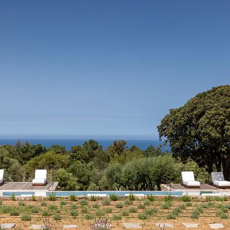 Les Paillers De Bodri - Vue Et Piscine - Adults Only Hotel Corbara