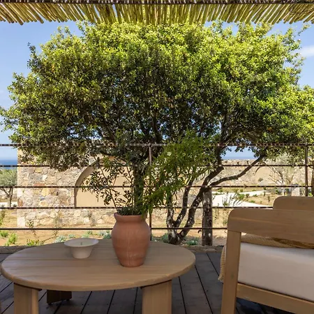 Les Paillers De Bodri - Vue Et Piscine - Adults Only * Corbara